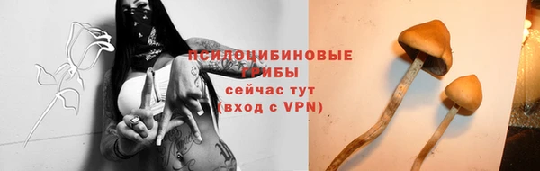 spice Балабаново