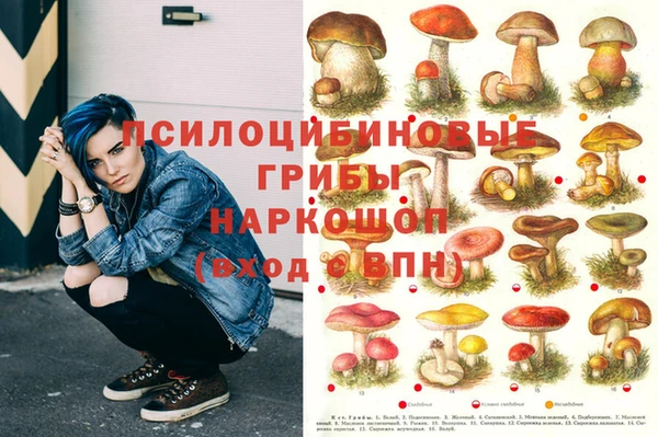 каннабис Баксан