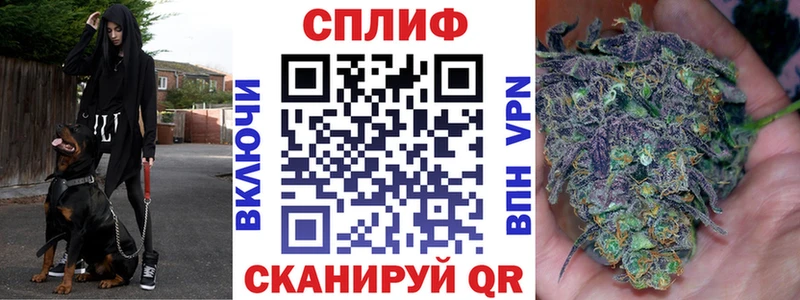 МЕГА онион купить наркоту Унеча Бошки марихуана семена